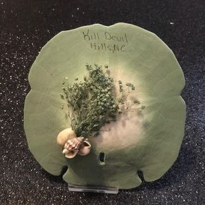 Sage green shell decoration